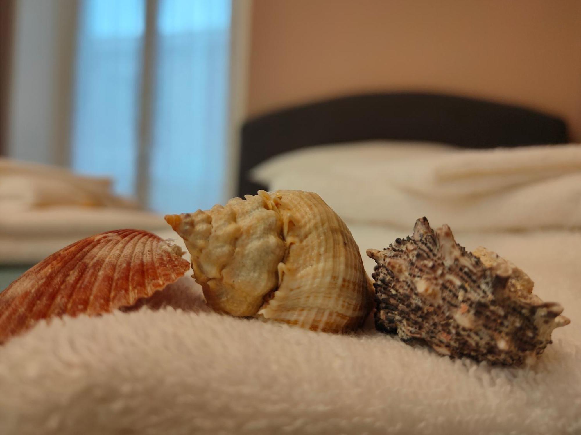 Casa Dora 5 Terre Close To Trains And Ferries With Ac - Wi-fi La Spezia